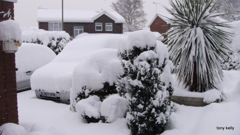 wokingsnow02feb2009001.jpg