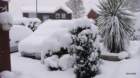 link to snow in woking pix