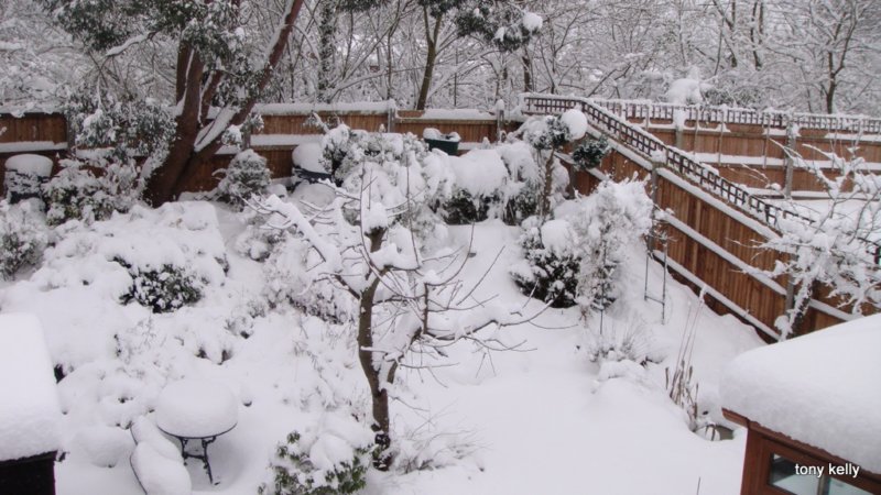 wokingsnow02feb2009013.jpg