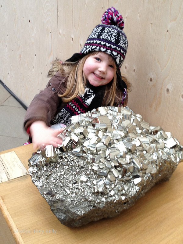 faye-20120210-001.jpg - inside the Oxford Natural History Museum