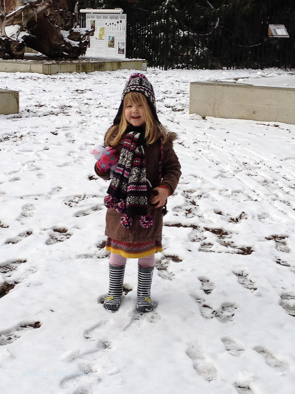 faye-20120210-009.jpg - outside the Ofrod Natural History museum