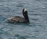 20181204 Tortola 073