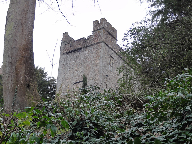 DSC04646.jpg - Looking upto Dunster castle from its  gardens