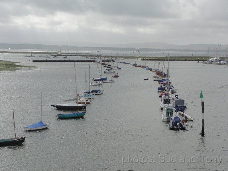 DSC05594.jpg - a guard of honour ?                               