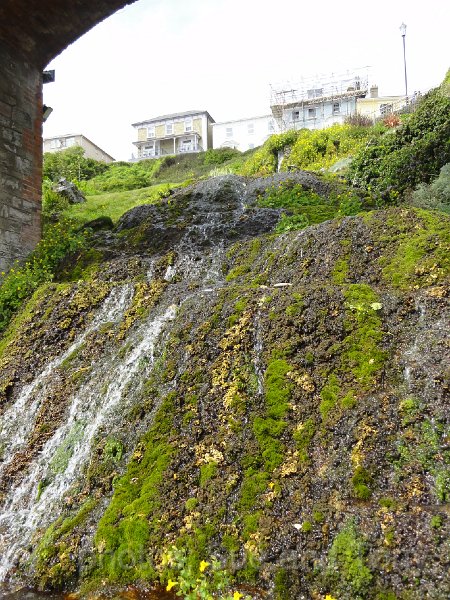 DSC05709.jpg - looking back up to the Main road