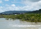 L1110485 : 2013 Holidays, Airlie Beach, Australia, Holidays, Mangrove, Nature, Places, Whitsunday Islands, World Cruise 2013