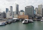 Auckland water front : 2013 Holidays, Auckland, Holidays, New Zealand, Places, Skyline, World Cruise 2013