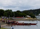 this is near the tender landing stage,  some of the cruise passengers were trying their hands at rowing a Maori war canoe : 2013 Holidays, Bay_of_Islands, Boats and ships, Coastline, Holidays, New Zealand, Places, Transport, World Cruise 2013