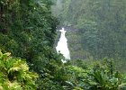 first sight of the falls : 2013 Holidays, Akaka State Park, Hawaii, Hilo, Holidays, Mountians Rivers and waterways, Nature, Places, Plants and shrubs, Rivers, Trees, United States, World Cruise 2013, rivers to be identified, waterfalls