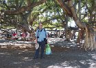 under the banyan tree : 2013 Holidays, Family, Hawaii, Holidays, Kahului, People, Places, Tony, United States, World Cruise 2013