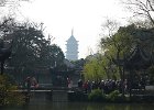 L1120766 : 2013 Holidays, Buildings, China, Chinese Gardens, Garden of the humble administrator Suzhou, Gardens, Holidays, Nature, Places, Shanghai, Suzhou, Trees, World Cruise 2013
