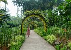 L1140527 : 2013 Holidays, Buildings, Gardens, Holidays, Nature, Places, Plants and shrubs, Singapore, Singapore Botanical Gardens, World Cruise 2013